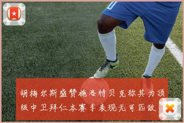 胡梅尔斯盛赞施洛特贝克称其为顶级中卫拜仁本赛季表现无可匹敌